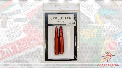 308-evolution-15062022